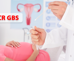 Ý nghĩa và giá trị của xét nghiệm liên cầu khuẩn nhóm B (GBS) ở thai phụ
