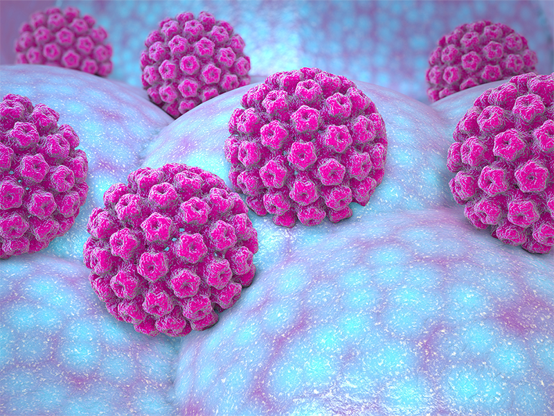 vi rút hpv